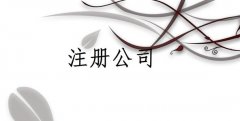 重庆设立分公司应具备的条件