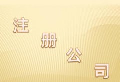 重庆集团公司年检基本程序