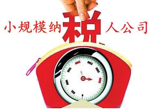 重庆小规模一般纳税人报税详解